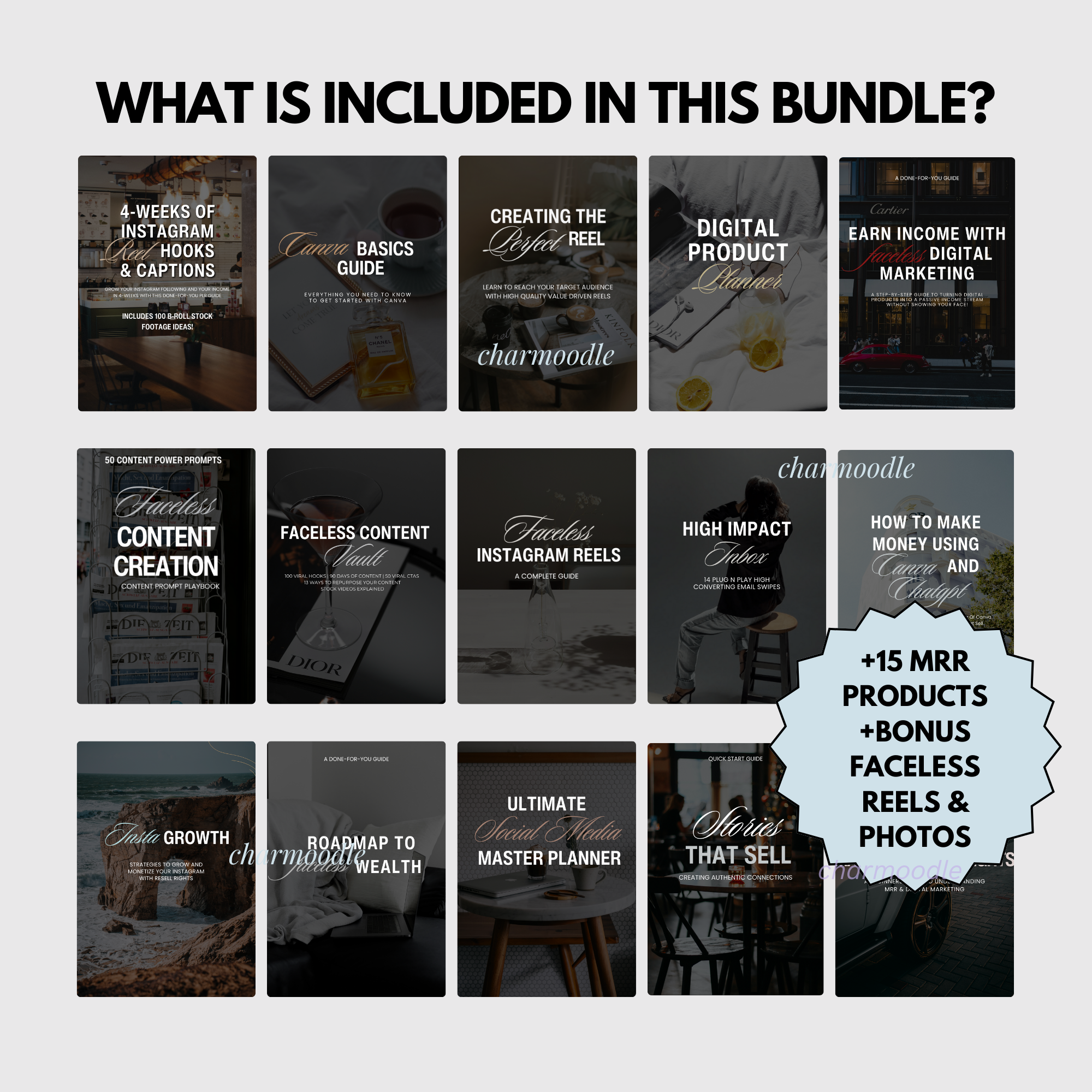 Digital Wealth Academy DWA with MRR Full Course Vol 2